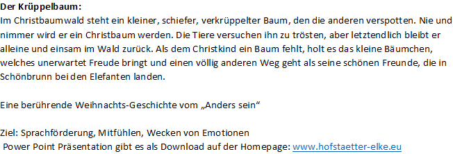 Text Bücherpaket Weihnachten2