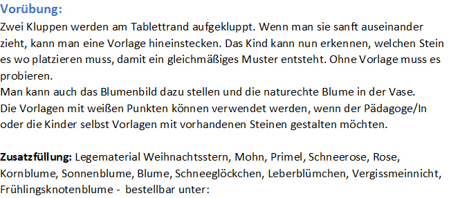 Text Sortiertablett Primel 2